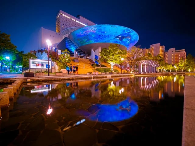 光と食で暖まる夜!六甲アイランドでプロジェクションマッピング&RICパーティー