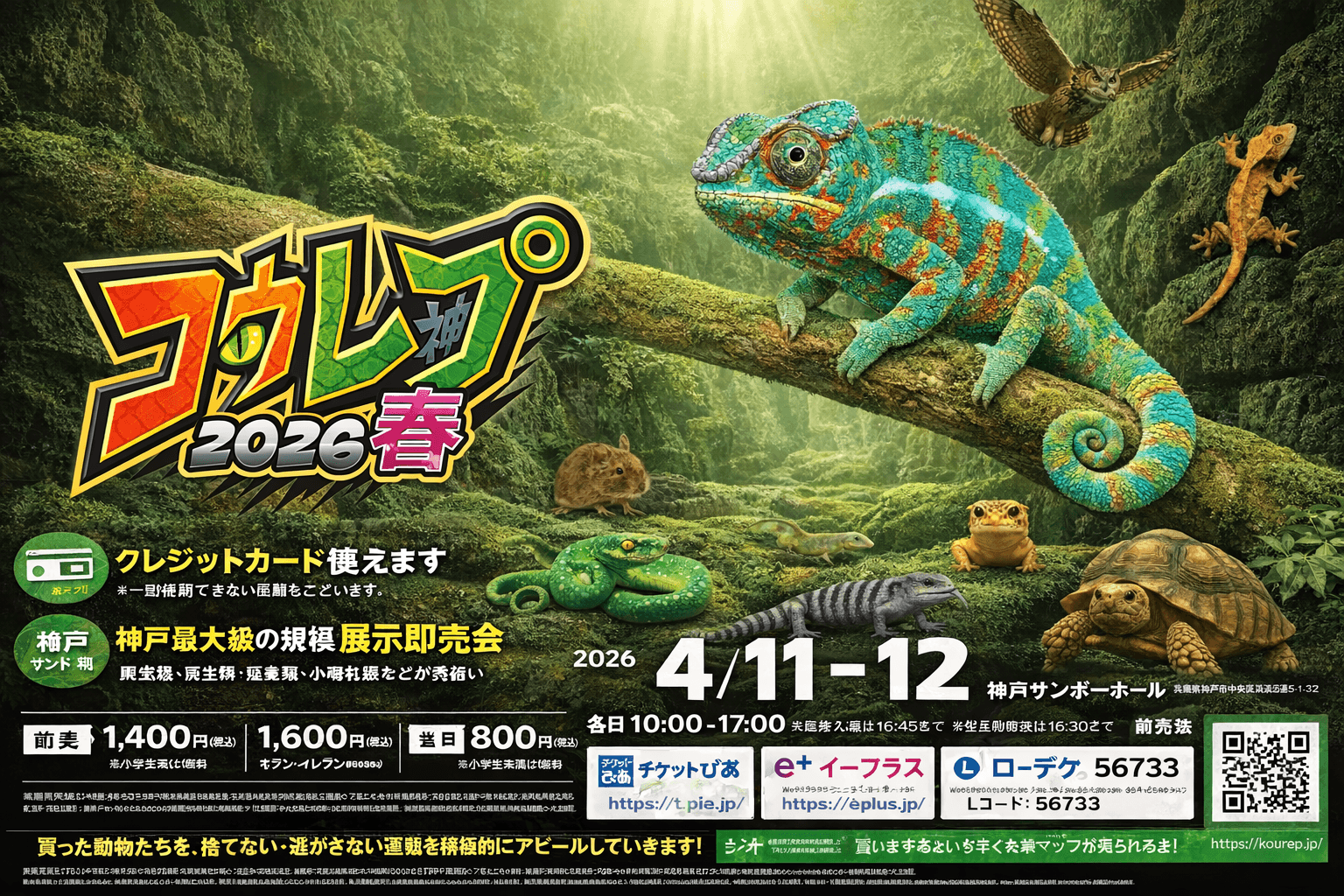 神戸最大級 爬虫類イベント コウレプ2026春 4月神戸サンボーホールで開催
