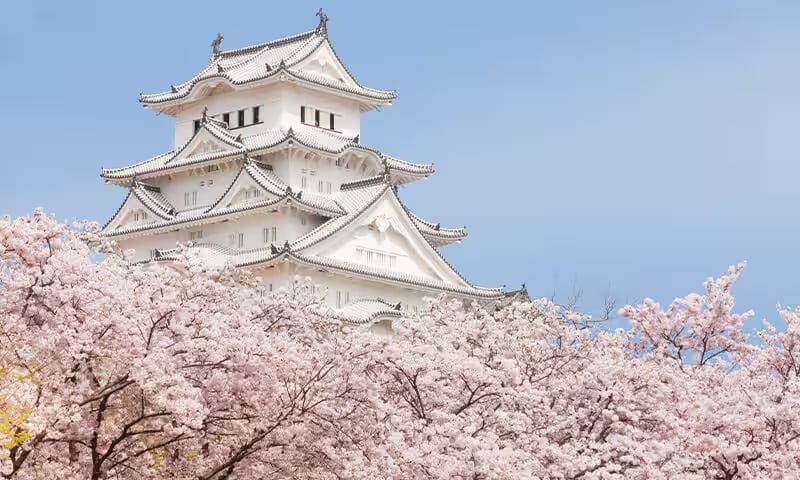 姫路城 入城料改定 2026年3月 一般2500円 市民据え置き 18歳未満無料