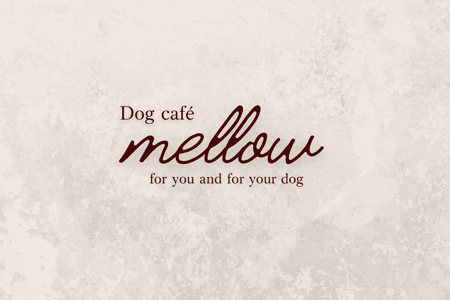 神戸三宮ドッグカフェ「mellow」3/5開店!愛犬とセイロ蒸し&自家製豆腐