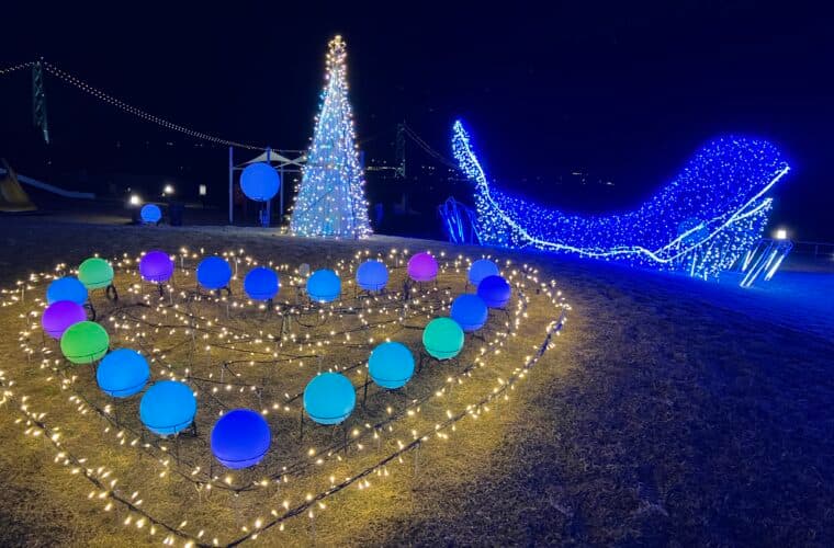 光輝くクジラとイルカ!大蔵海岸ハートフルイルミネーションで感動体験のイメージ画像