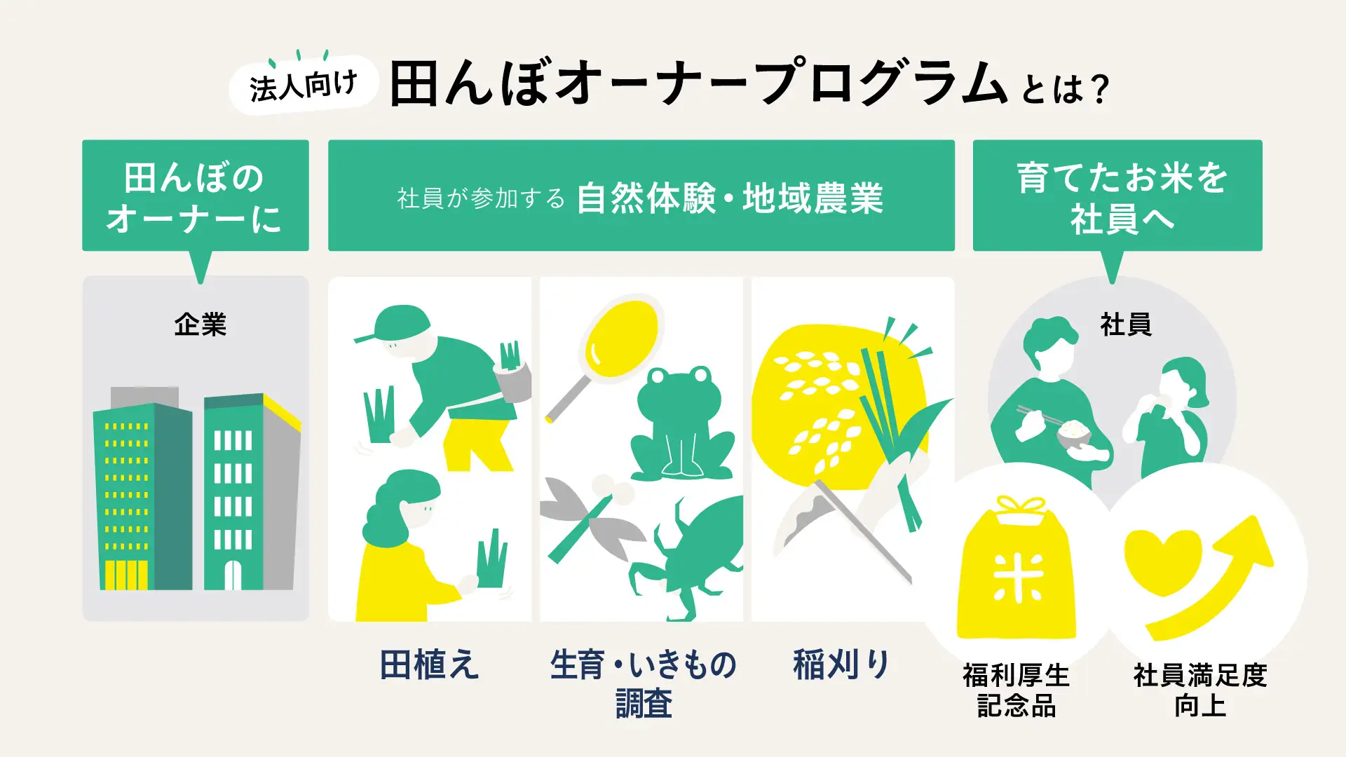 丹波篠山で法人向け田んぼオーナー制度開始!農業体験で福利厚生を充実のイメージ画像
