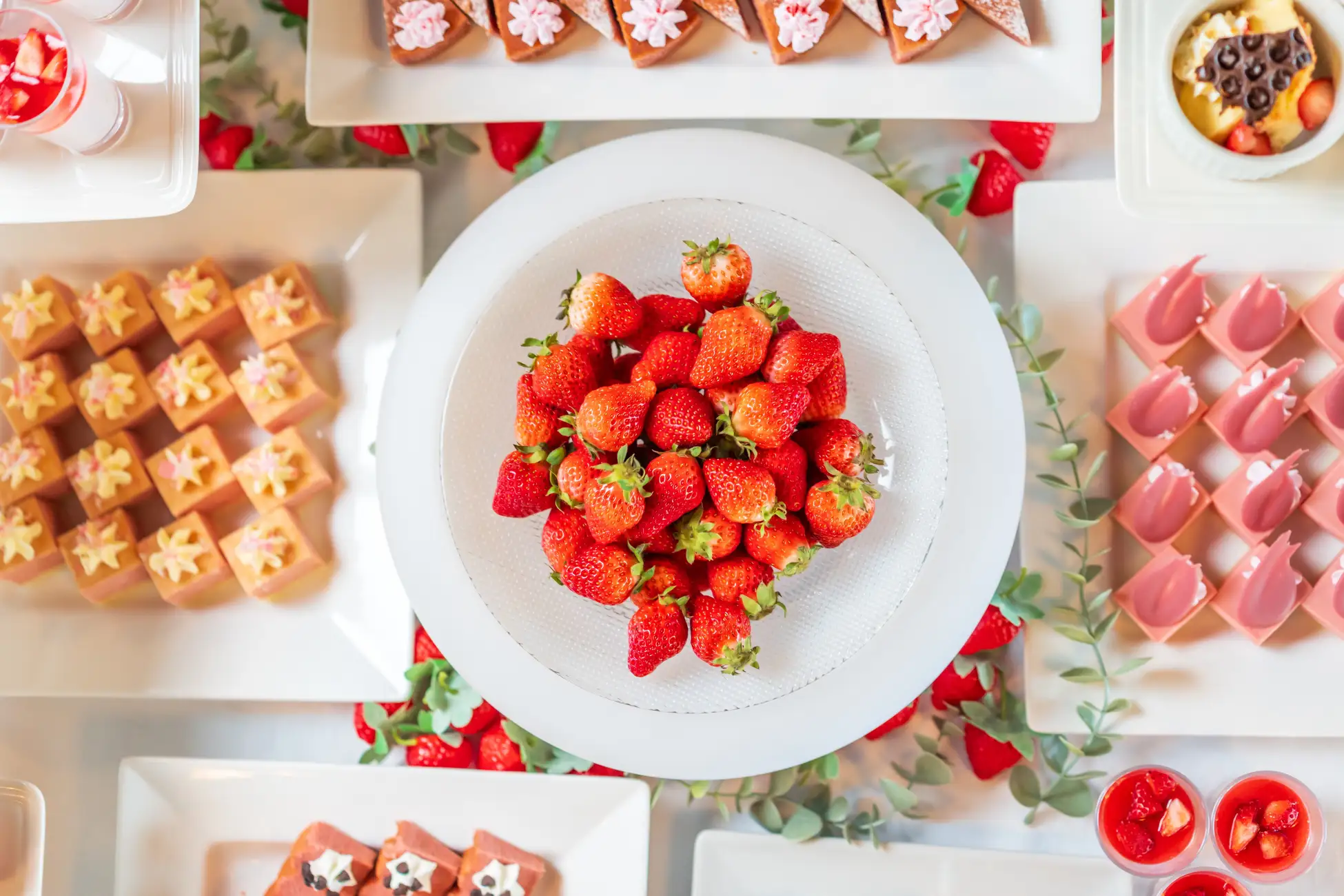 神戸クルーズ いちごスイーツ 女峰食べ放題!コンチェルト期間限定のイメージ画像