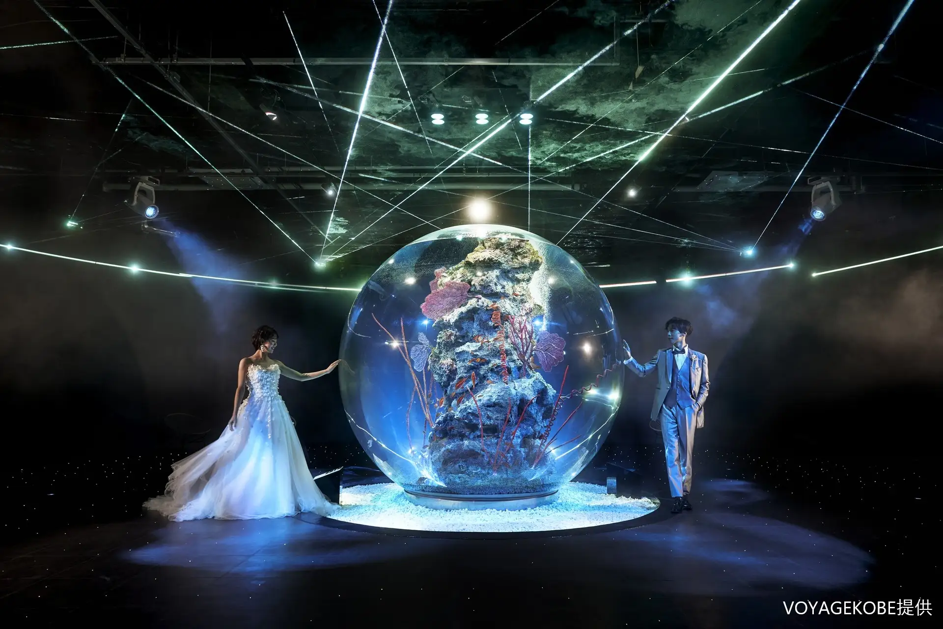 神戸の絶景と水族館で永遠の愛を!ホテルオークラ神戸×アトア フォトウェディングのイメージ画像