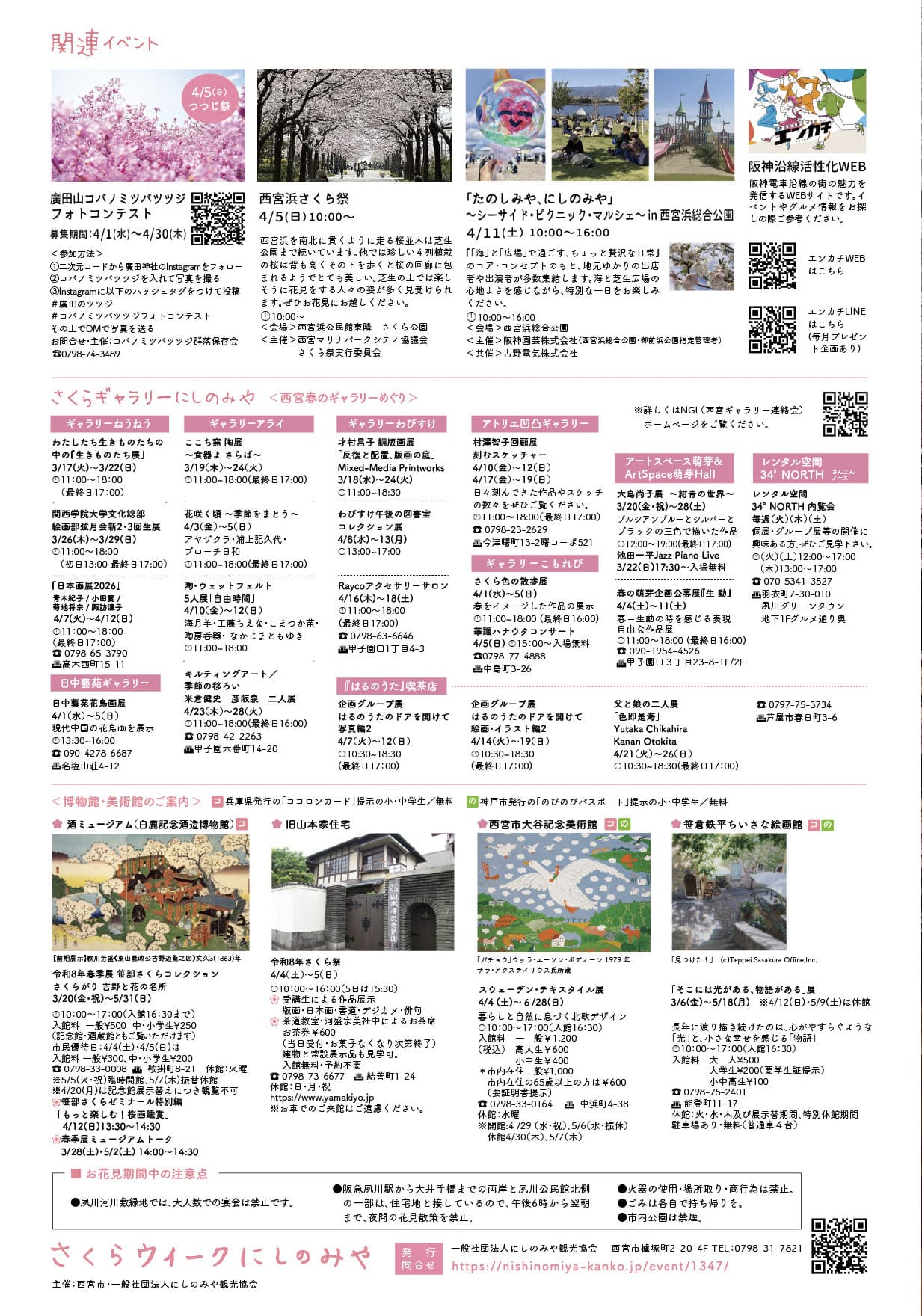 春爛漫!西宮さくらウィーク2026 夙川・廣田神社お花見コースと街歩きイベントのイメージ画像