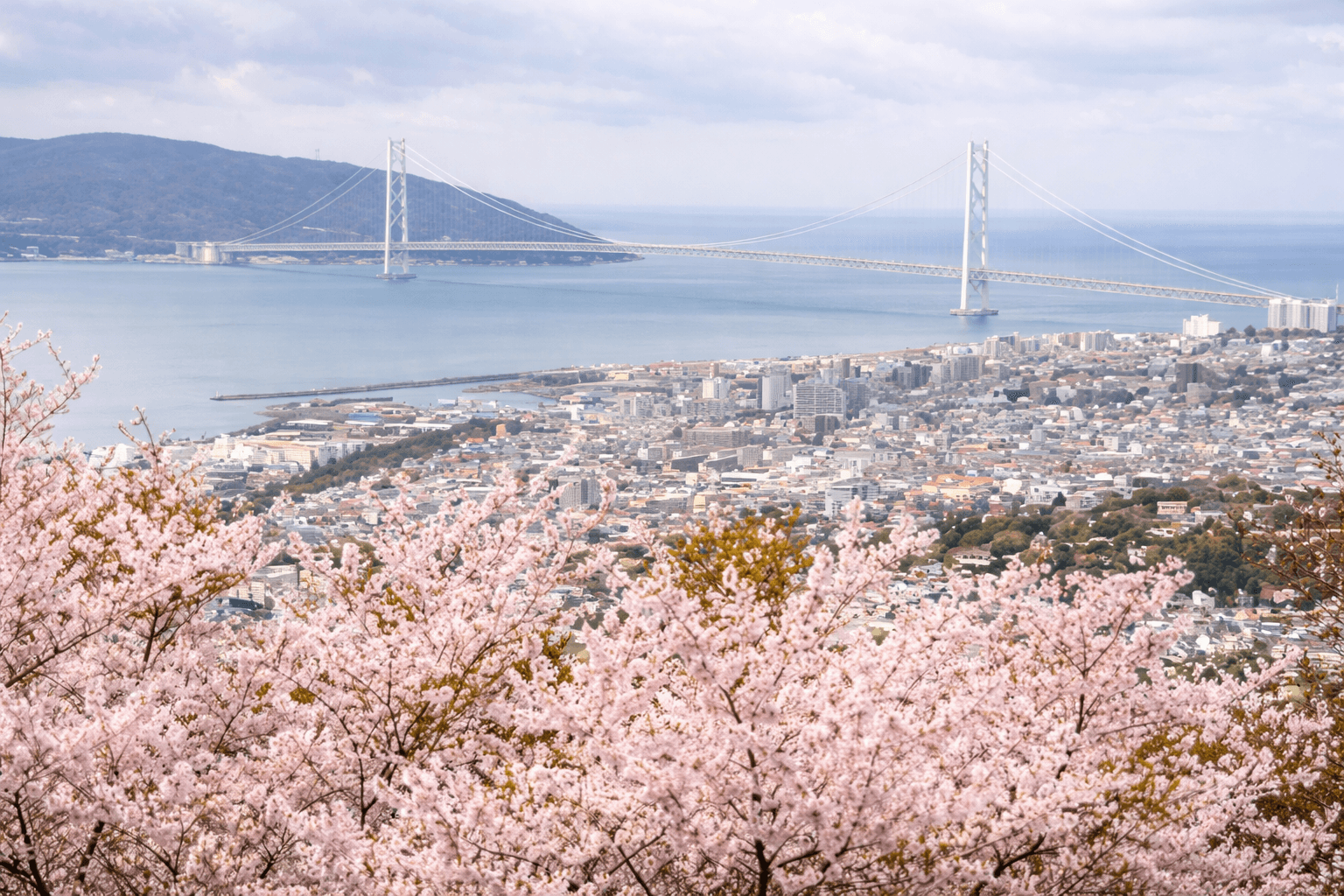 兵庫県神戸市お花見スポット20選!夜桜・屋台も楽しめるのイメージ画像